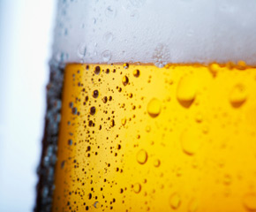 beer