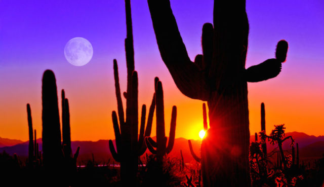 arizona